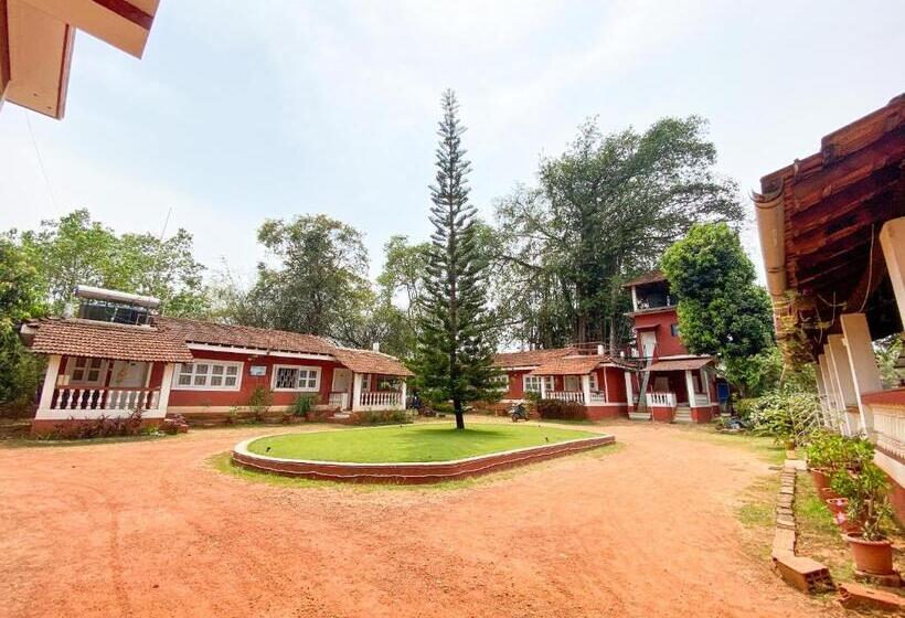 带阳台的豪华间, Nomadgao Vila Nova   Comfort, Great Views, Fast Wifi & Interesting People