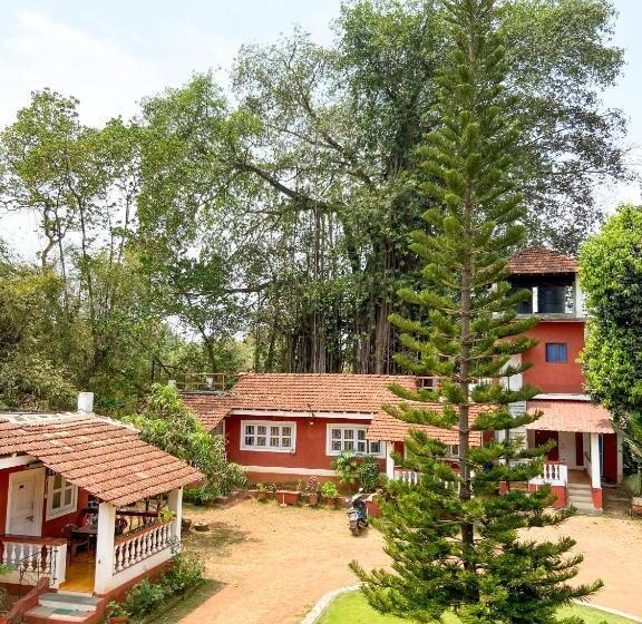 标准间内部标间, Nomadgao Vila Nova   Comfort, Great Views, Fast Wifi & Interesting People