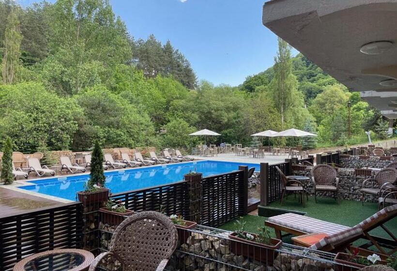 חדר סופריור עם מיטת קינג, Best Western Plus Paradise Hotel Dilijan
