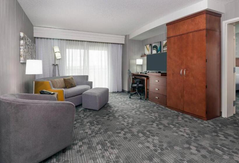 سوئیت با تخت بزرگ, Courtyard By Marriott Buffalo Airport