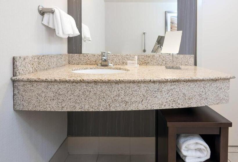 اتاق استاندارد با تخت بزرگ, Courtyard By Marriott Buffalo Airport
