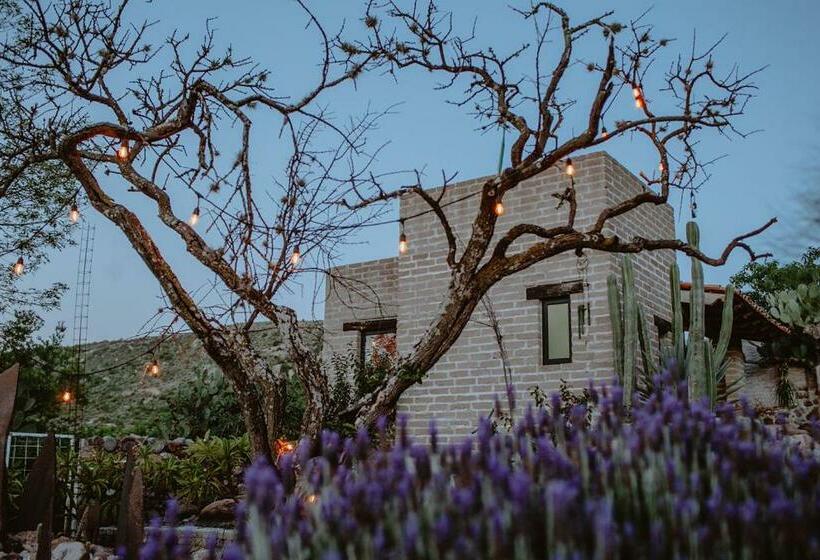 Quarto Estandar Vista Montanha, Lavanda Aldea Holística