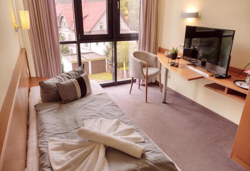 Номер Стандарт Индивидуальный, Regiohotel Am Brocken Schierke