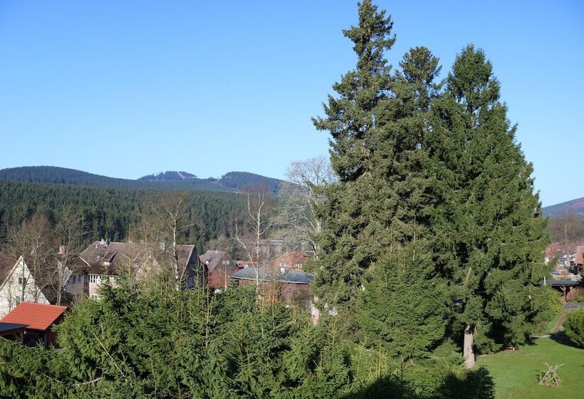 Номер Стандарт, Regiohotel Am Brocken Schierke