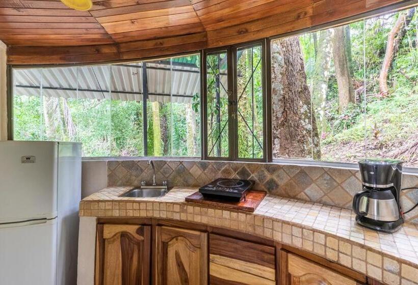 اتاق استاندارد با چشم‌انداز, Boutique Hotel Las Cascadas