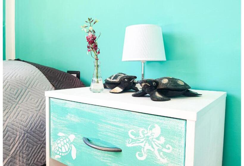 تختخواب در اتاق مشترک, Eco Hostel Vela Vega