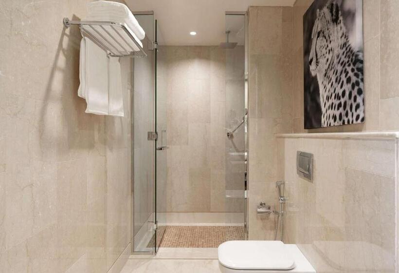 اتاق سوپریور, Radisson Blu Hotel, Juba
