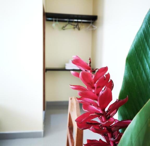 수피리어 패밀리 룸, Hostal Cordillera Azul