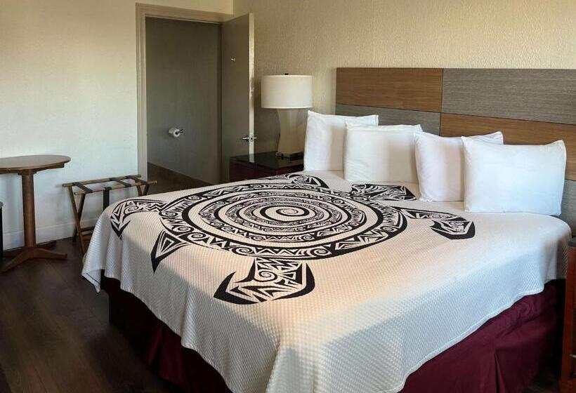 اتاق استاندارد با تخت بزرگ برای معلولان, Motel 6 Galveston, Tx Seawall