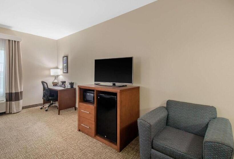 Номер Стандарт, Comfort Inn & Suites Cedar Hill Duncanville