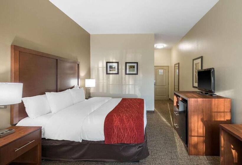 Стандартный Номер Кровать Кинг, Comfort Inn & Suites Cedar Hill Duncanville