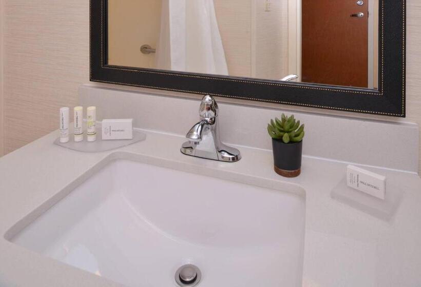 Стандартный Номер Кровать Кинг, Fairfield Inn & Suites By Marriott Anderson Clemson