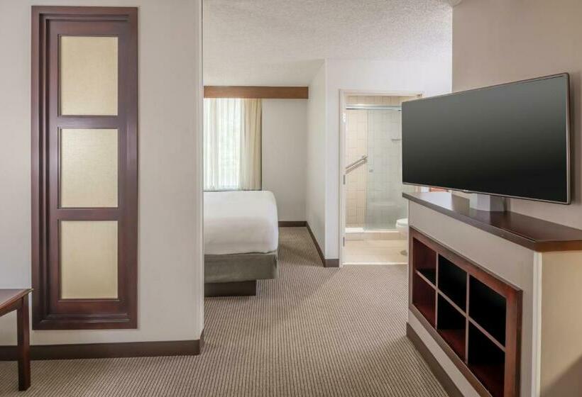 חדר סטנדרט עם מיטת קינג, Hyatt Place College Station