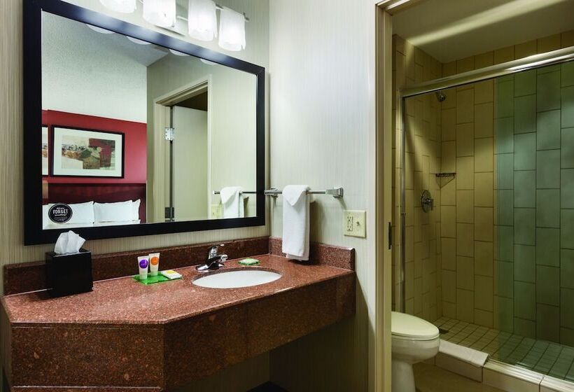Standard Room Superior Floor, Hyatt Place College Station
