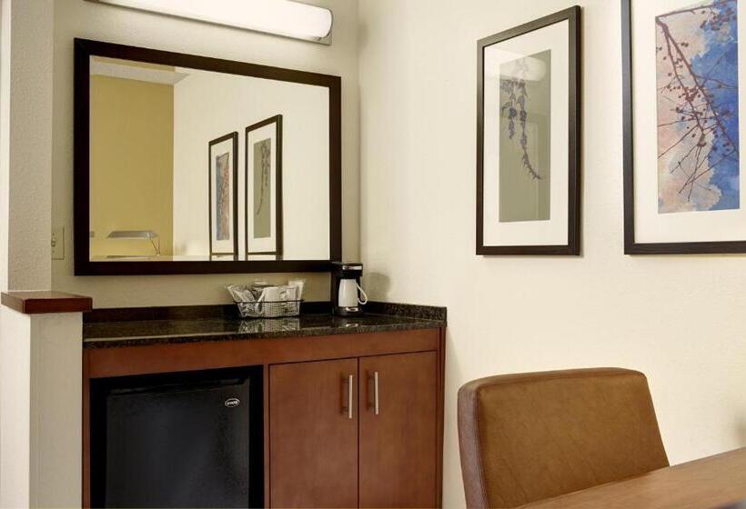 带2个双人床的标准工作室, Hyatt Place Denver Tech Center