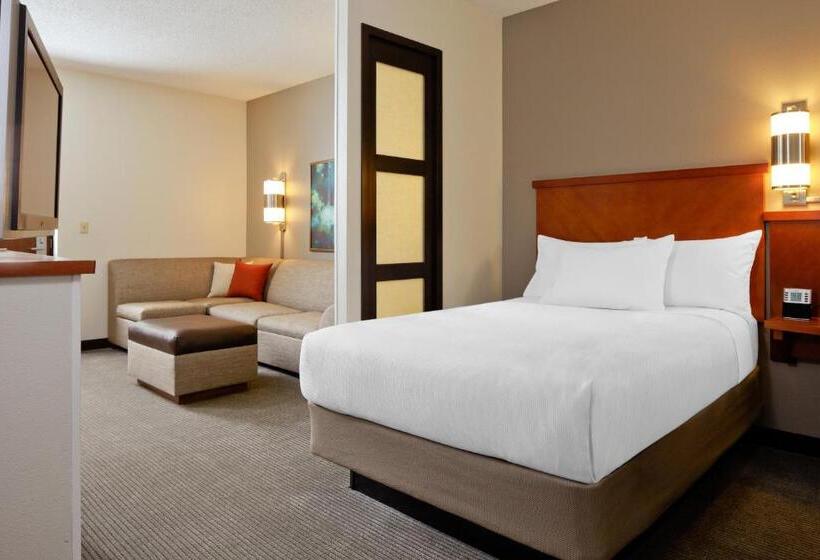 חדר סטנדרט עם מיטת קינג, Hyatt Place Denver Tech Center