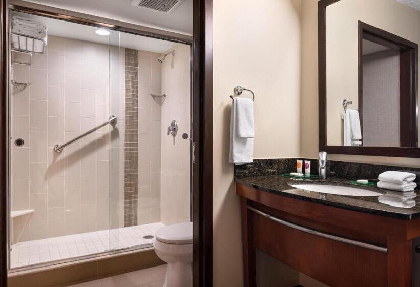 带大床的标准间, Hyatt Place Denver Tech Center