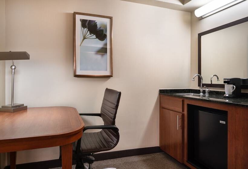 带2个双人床的标准工作室, Hyatt Place Denver Tech Center
