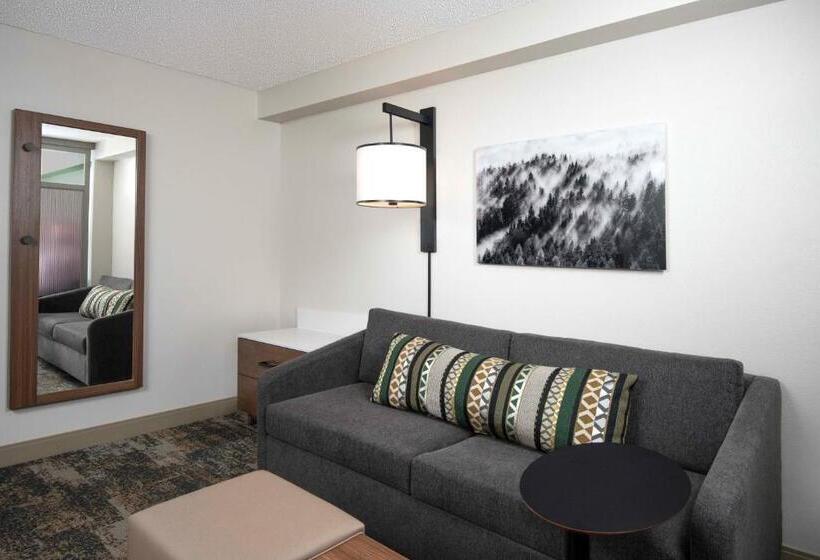 高级寓所标准房间, Hyatt Place Denver Tech Center