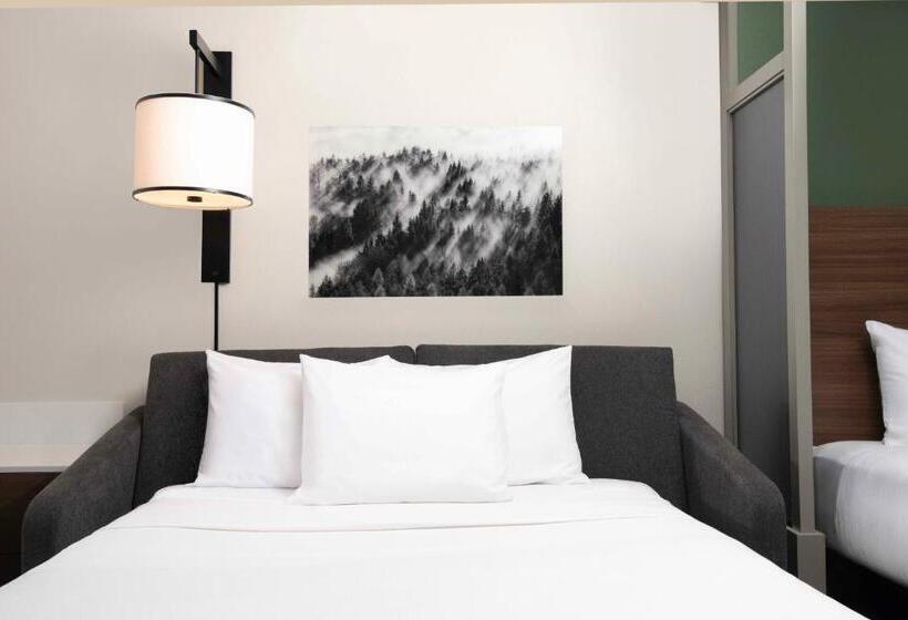 带大床的标准间, Hyatt Place Denver Tech Center