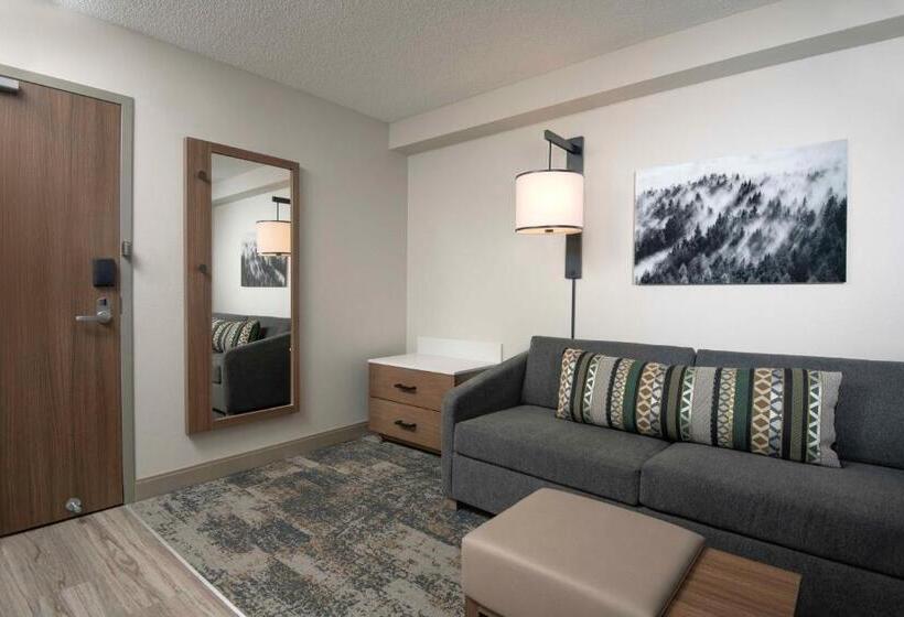 适合残疾人士使用的带超级大床的标准间, Hyatt Place Denver Tech Center