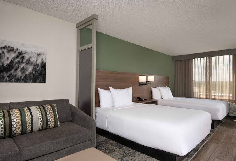 חדר סטנדרט שתי מיטות זוגיות, Hyatt Place Denver Tech Center