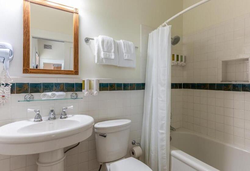 스위트 킹사이즈 침대, Southernmost Inn Adult Exclusive
