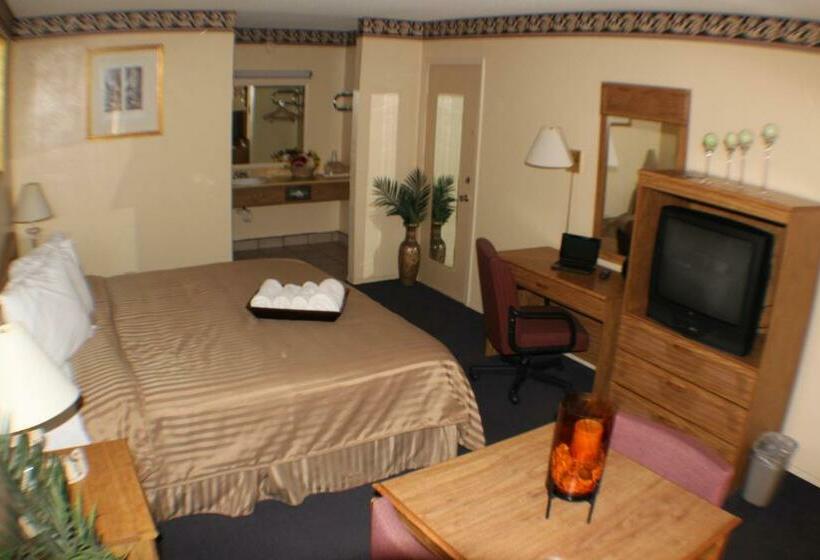 스탠다드 룸 킹사이즈 침대, Value Inn & Suites  Harlingen