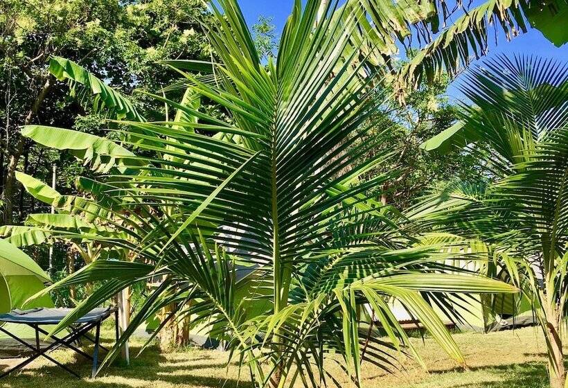 Deluxe Cottage, Camp Utila Village   Hostel