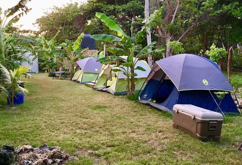Comfort Tent, Camp Utila Village   Hostel