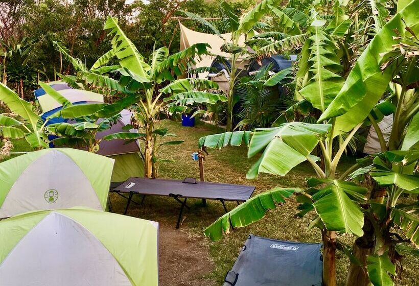 Comfort Tent, Camp Utila Village   Hostel