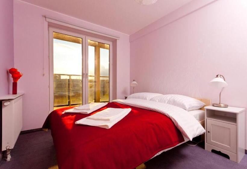 スタンダードルーム, Cilantro Bed & Breakfast