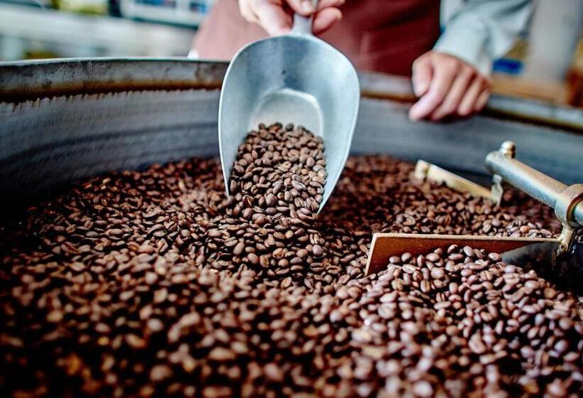 اتاق اکونومی, Madar Café Restaurant Zum Fürsten