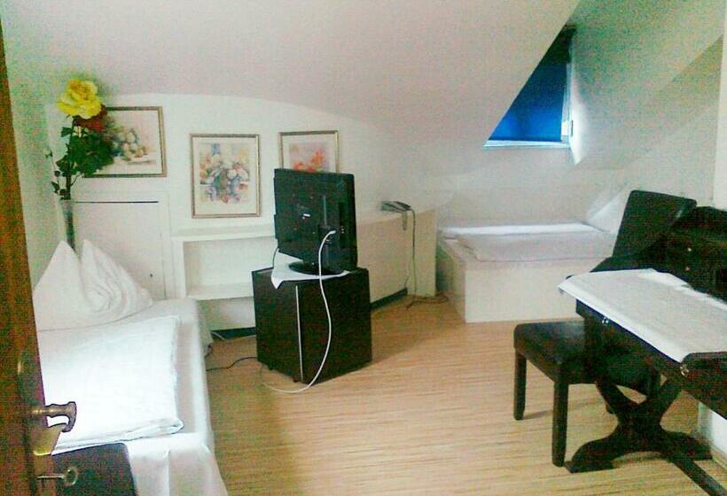 스탠다드 룸, Gästehaus Am Stadtpark