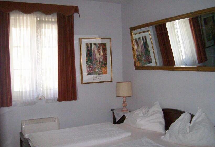 스탠다드 룸, Gästehaus Am Stadtpark