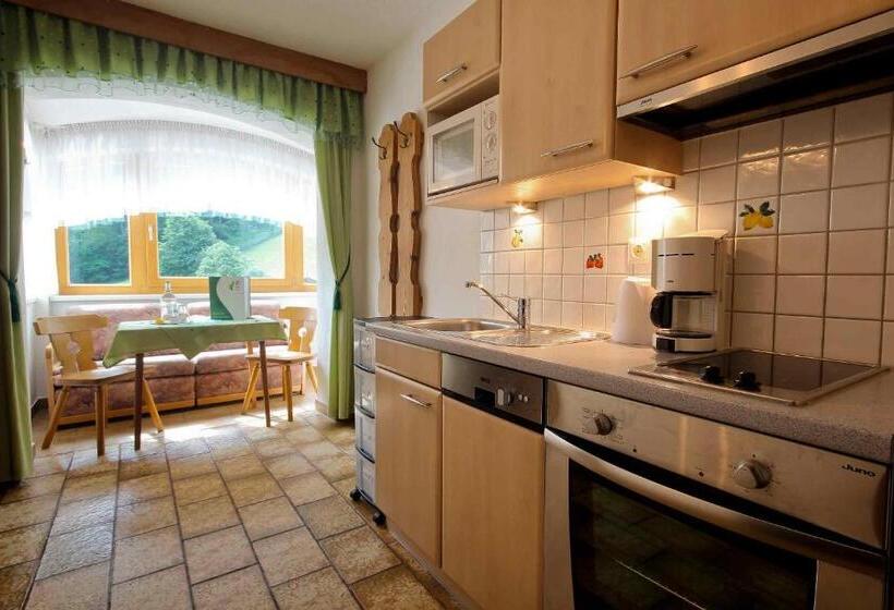 Апартаменты 1 Спальня, Ladestatthof