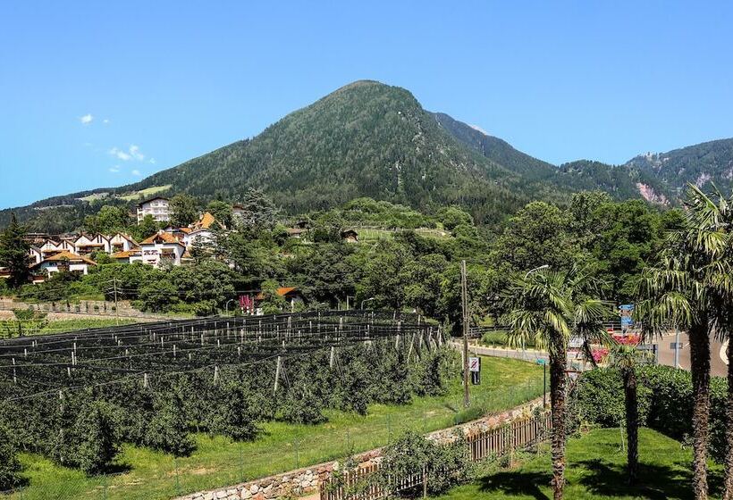 スタンダードシングルルーム, Guesthouse Pension Grafenstein