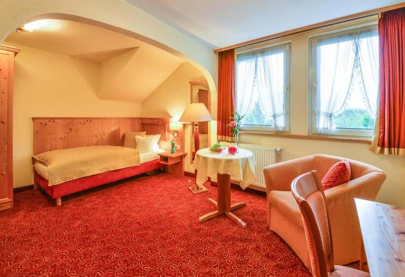 חדר סטנדרט יחיד, Romantik Landhotel Doerr