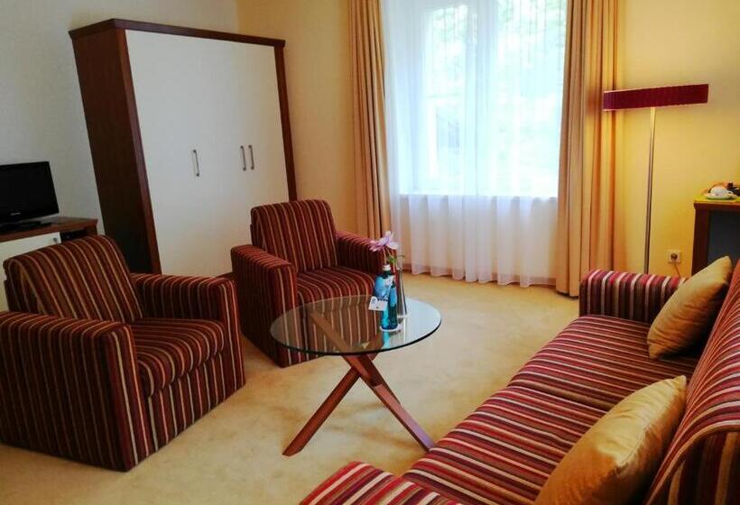 Апартаменты Дюплекс 1 Спальня, Parkhotel Bad Schandau Mit Spa