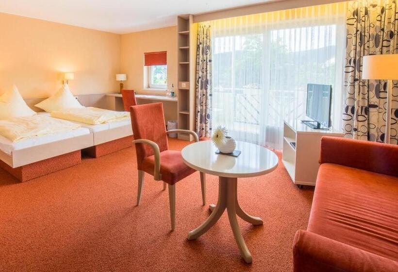 스탠다드 룸, Bsw Schwarzwaldhotel Baiersbronn