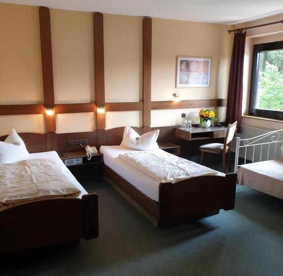 Номер Стандарт, Heidehotel Anna