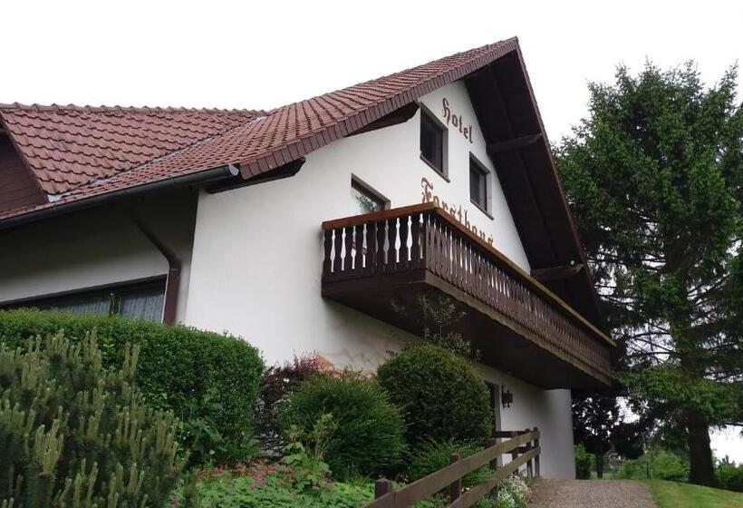 Номер Стандарт Индивидуальный, Forsthaus Alter Foerster