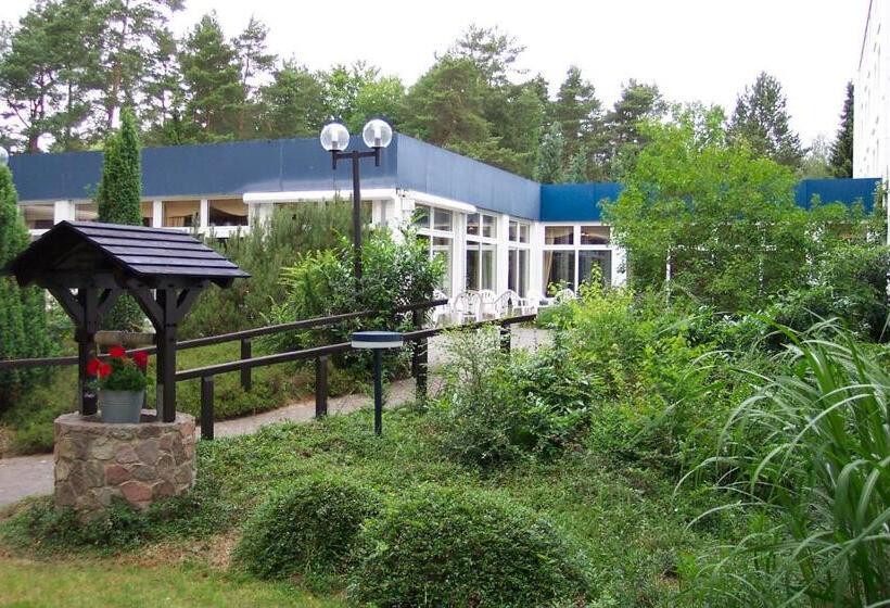 Номер Комфорт Индивидуальный, Heidehotel Bad Bevensen