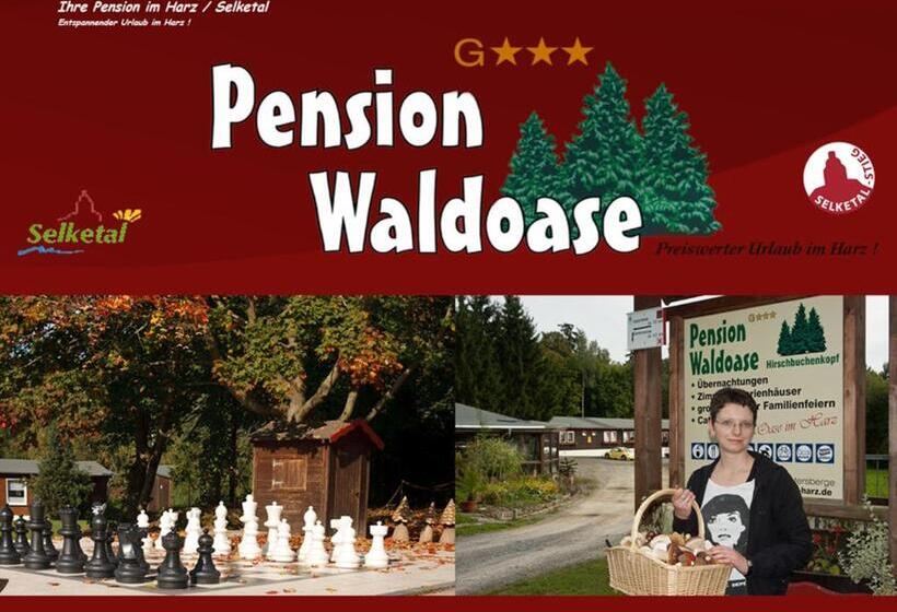 스탠다드 트리플 룸, Waldoase Hirschbüchenkopf