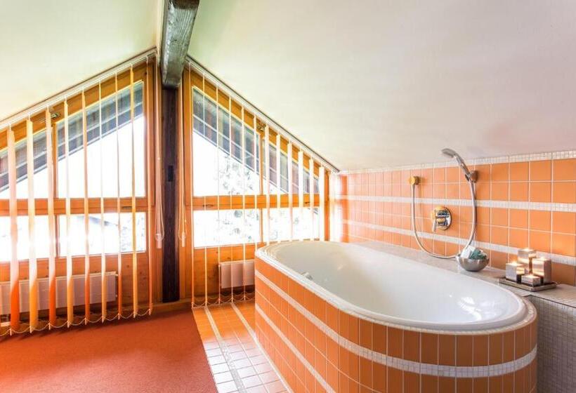 Standard Studio, Das Freiberg Romantik