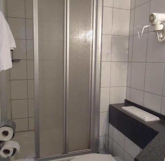 Номер Стандарт, Schweizer Hof