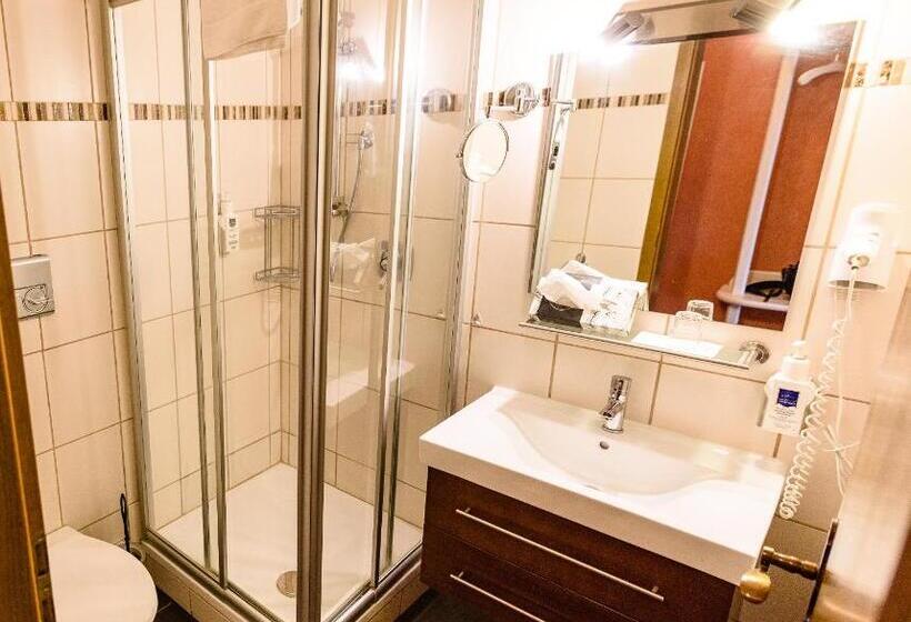 Номер Стандарт Индивидуальный, Landhotel Henkenhof Willingen