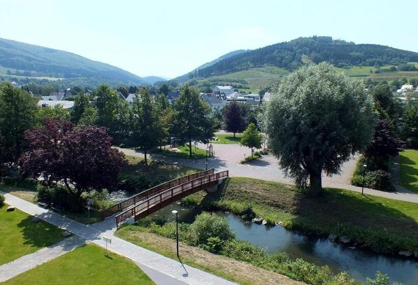 Номер Стандарт Индивидуальный, Parkhotel Olsberg