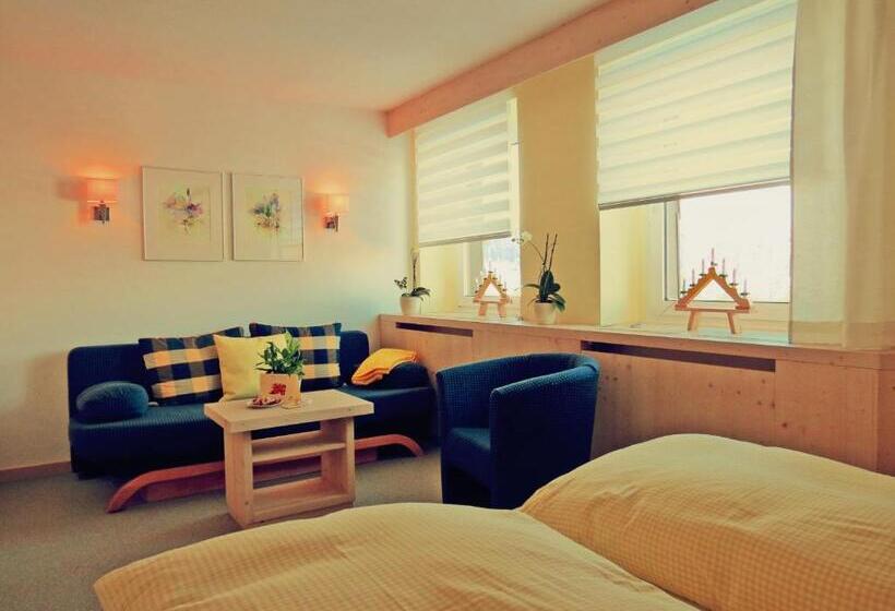 Номер Комфорт, Ferienhotel Mühlleithen