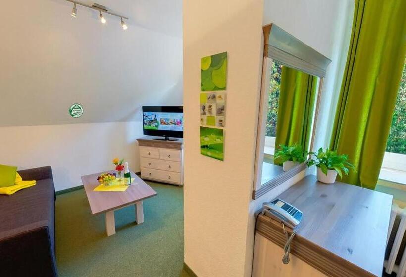Номер Комфорт, Ferienhotel Mühlleithen